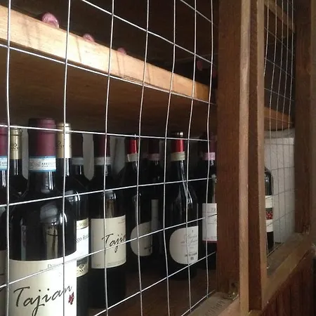 Avalanche - Alpine Boutique