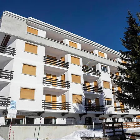Avalanche - Alpine Boutique Oulx