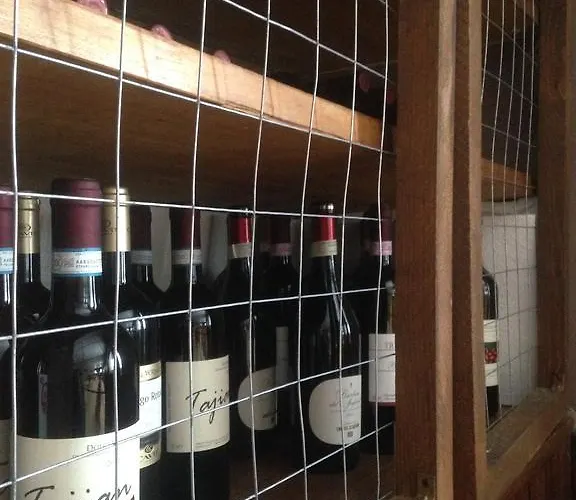 Avalanche - Alpine Boutique